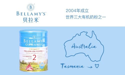 家庭出游的最佳选择：早鸟优惠让旅行更轻松