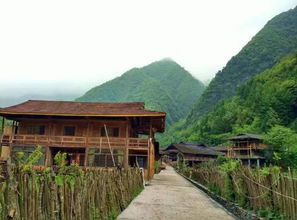 小寨子沟的惊天骗局！2026年黄历警告：千万别去！