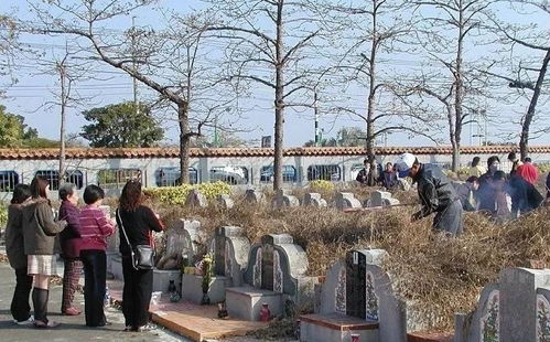 2026年寓意缘分的宝宝名字，有没有什么好建议？