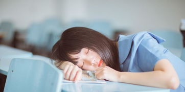 1. 床铺的较高度与朝向之谜