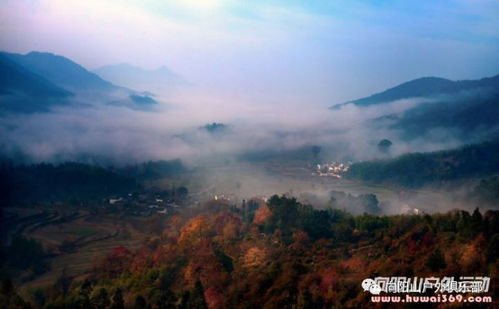 另类玩法：当个叛逆游客