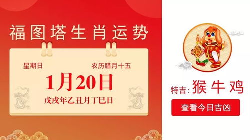 十二生肖运势24日出生每日运程具体内容是什么？