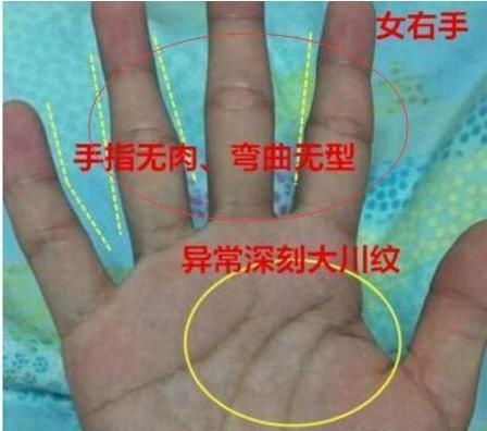 性格特质：如山海关较长城般坚韧又更多面