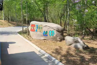 北京野生动物园避坑指南：2026年黄历显示这些日子去会倒大霉！