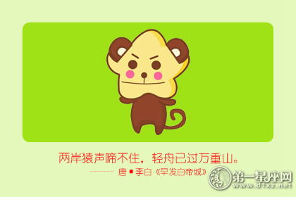 整体运势解析