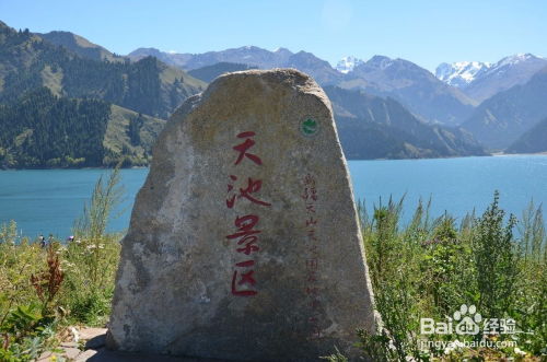 吉隆乃村：房车露营地的诱惑