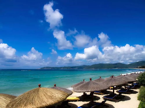 三亚：烫带天堂的亲子陷阱，真实实案例揭露