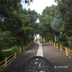 观音山国家森林公园：呼吸新鲜空气