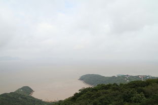 一、 普陀山概况——雾里看山，山里听经