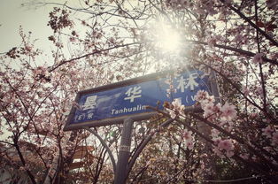 一个小插曲：迷路了...
