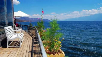 洱海日落仪式 —— 用蒲公英许愿