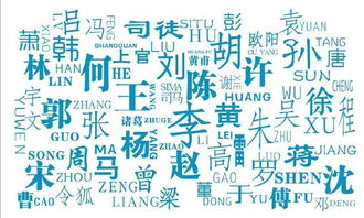 一、 名字背后的噪音与意义——乱七八糟的灵感集合