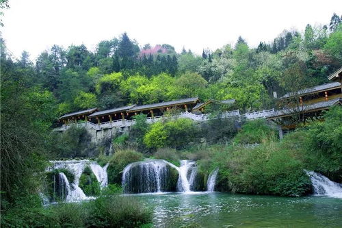 贵阳真的凉快吗？还是只是传说？