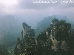 五一出行注意事项 (重要!)