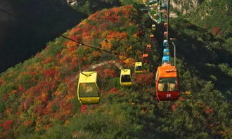 郑州本地宝郑州旅游