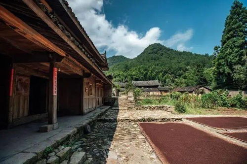 徐堡村：田园风光与文艺小清新