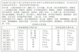 2. 调节免疫系统， 增强抵抗力