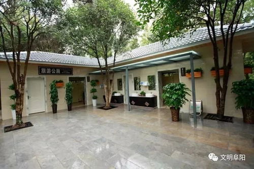 位置选择：究竟建在哪儿？