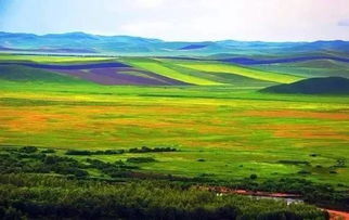 2026年黄历预警！