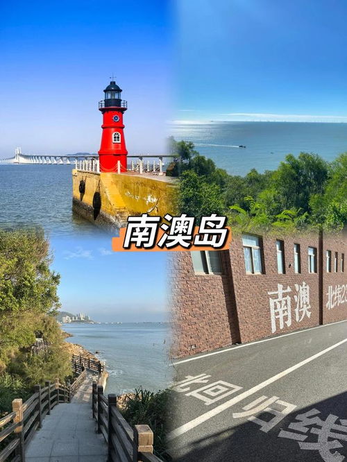 导游费用推荐 & 联系方式（乱七八糟表格）📞📞📞