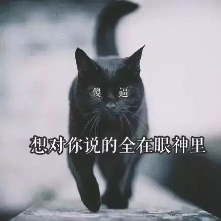 2. 用食物命名：让肚皮成为灵感源泉