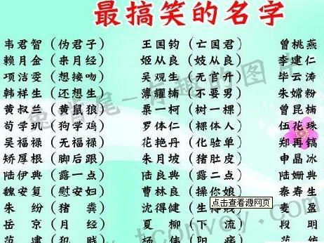 二、  多族姓的独特魅力：巧妙融合与创新