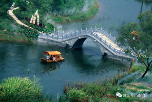 微山湖旅游指南：一场花钱买罪受的奇幻之旅