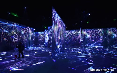 沉浸式体验， 金牛区的夜间魅力
