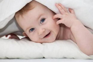 王姓猪宝宝取名有什么好听的推荐吗？