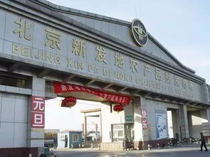 工学院综合批发买卖场：本地人的“厨房供应链”（还有各种奇奇怪怪的东西）