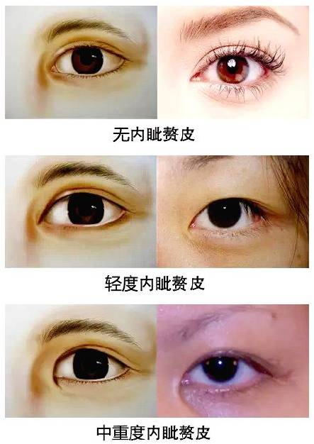 案例三：属鼠·上海·王女士视角描述版(虚构)