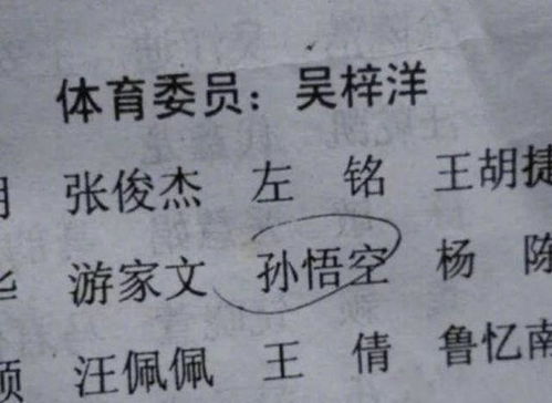 力拔山兮：突出个人特质与期望