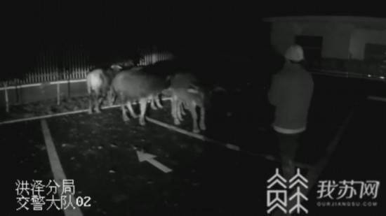 逃离恐慌