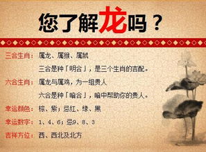 震惊！十二生肖背后的惊天大秘密