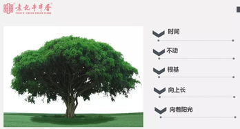 风水角度看：方位决定命运