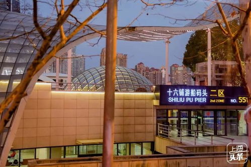同济至外滩一日游：轻巧松规划， 尽享经典