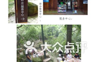 蔡塘公园内部探险：树影摇曳与脚步声交织