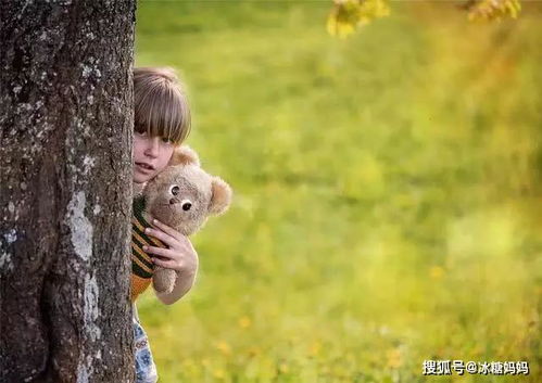 鼠崽子：拆家小能手