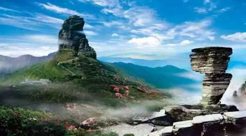 一、思山岭，五一特惠来袭，你准备好了吗？