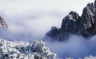 门票市场价格体系(12月更崭新)。