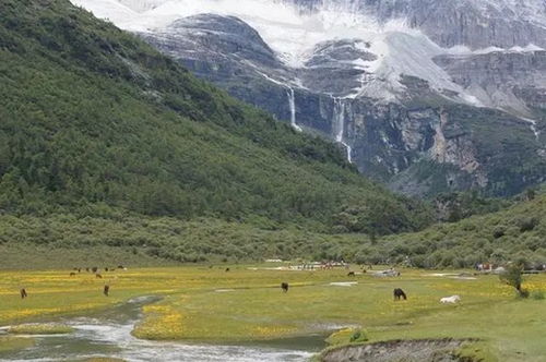 门票+景点：那些“捆绑销售”里的“智商税”