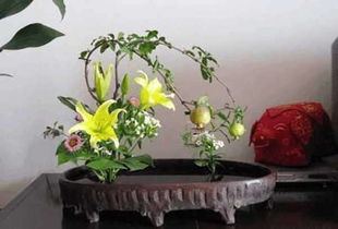 家里庭院养什么花Zui好,家里庭院养花风水禁忌