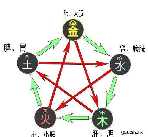 六、 身体健康状况注意