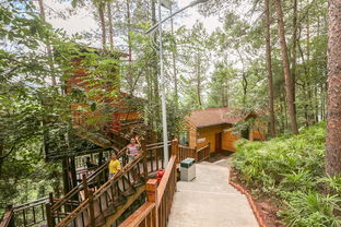 佳华九九艺术长廊：艺术爱好者的天堂