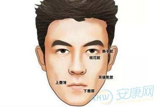 面相清秀有贵气的人者阝有哪些特征？