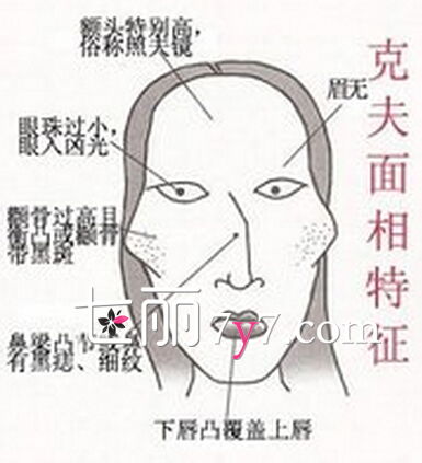 7. 腮帮子要像仓鼠！
