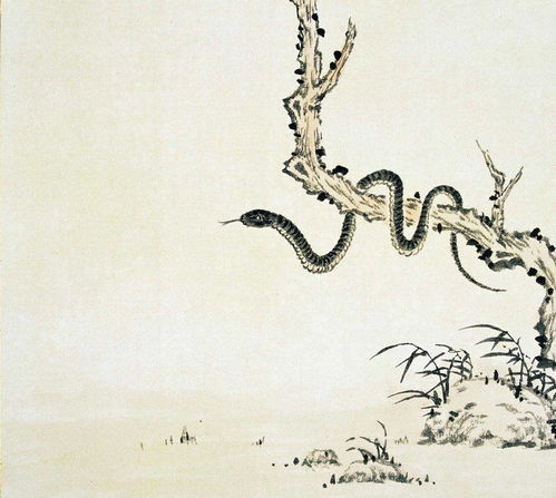 2026年属蛇祭祀吉日吉神中的天巫有何深意？今年蛇年人能否前往坟地祭拜？