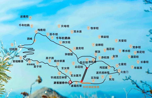 定西起航：驶向美食的彼岸