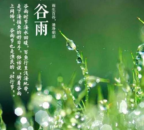 1、谷雨到底是啥？
