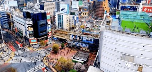 三、交通攻略，别在地铁站里迷路了